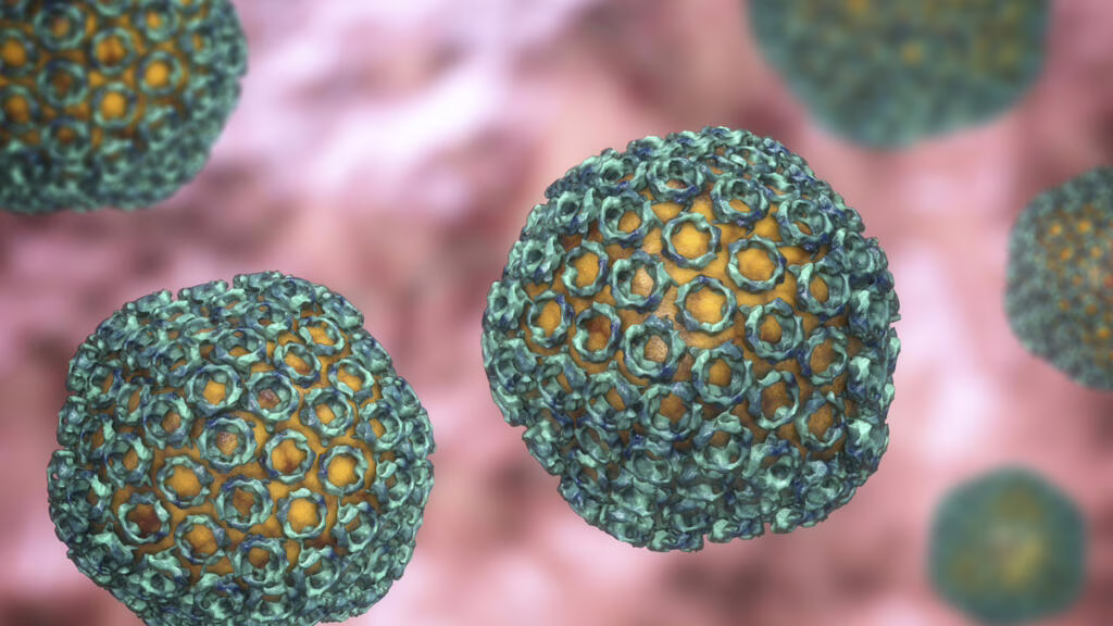 Sénégal : Le virus de la fièvre de la vallée du Rift continue à se propager dans le pays