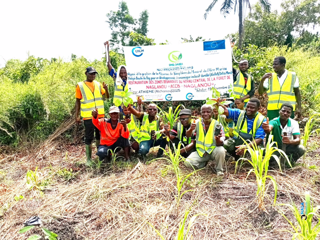 Restauration de forêt et ruchers communautaires à Athiémé : La réserve de Naglanou renaît grâce à Jaddi ONG