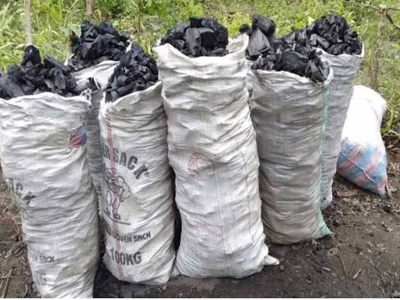 Cotonou-Gbégamey : Un nouveau marché au charbon et de pharmacopée bientôt construit