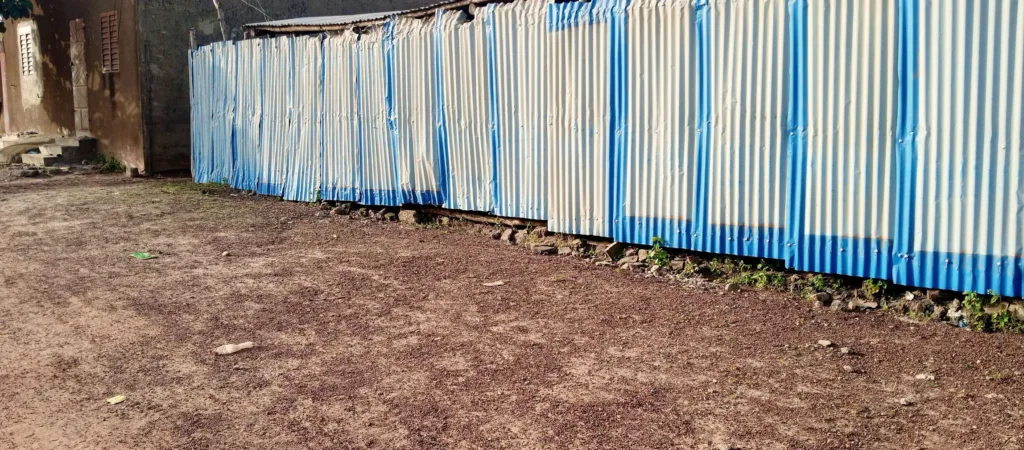 Parakou  : Un énorme serpent interrompt une séance de prière et sème la panique à Banikanni